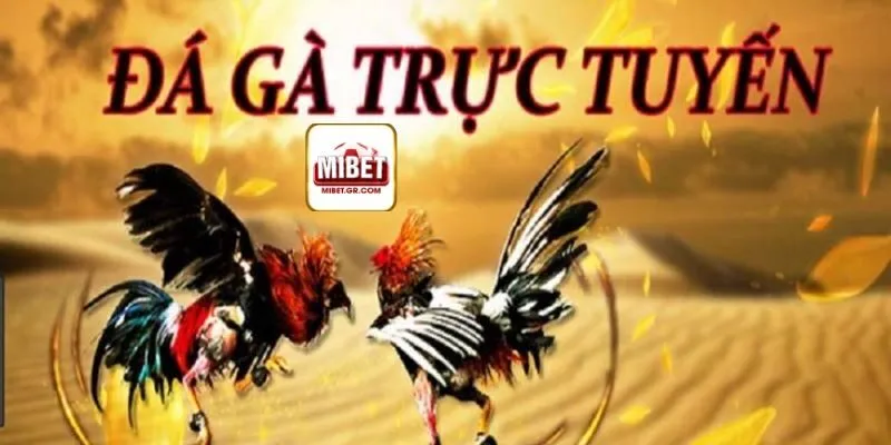 Giới Thiệu về Đá Gà Trực Tuyến