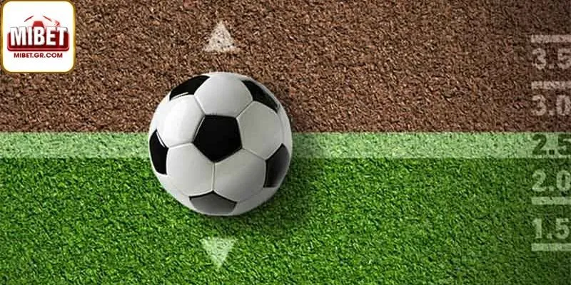 Những Sai Lầm Cần Tránh Khi Soi Kèo Thể Thao Trên Mibet