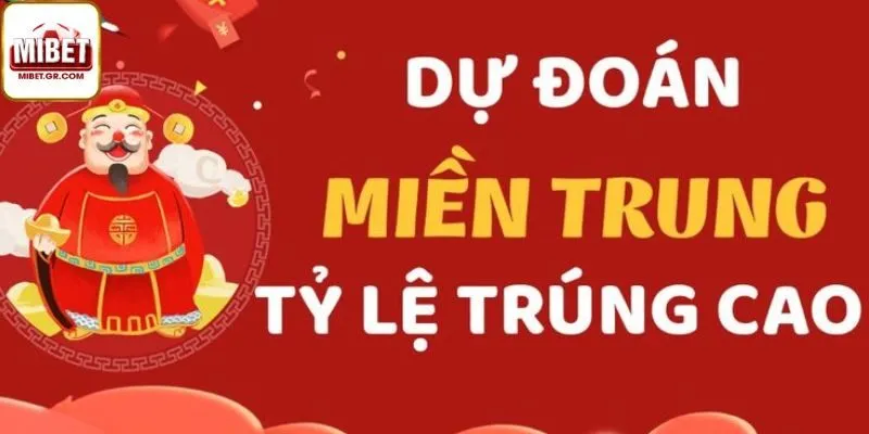 Soi Cầu Miền Trung